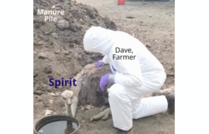 Dave with Spirit